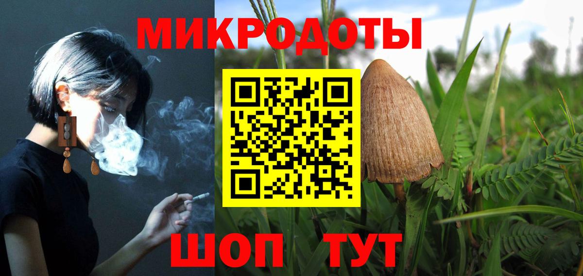Псилоцибиновые грибы Psilocybe Подольск