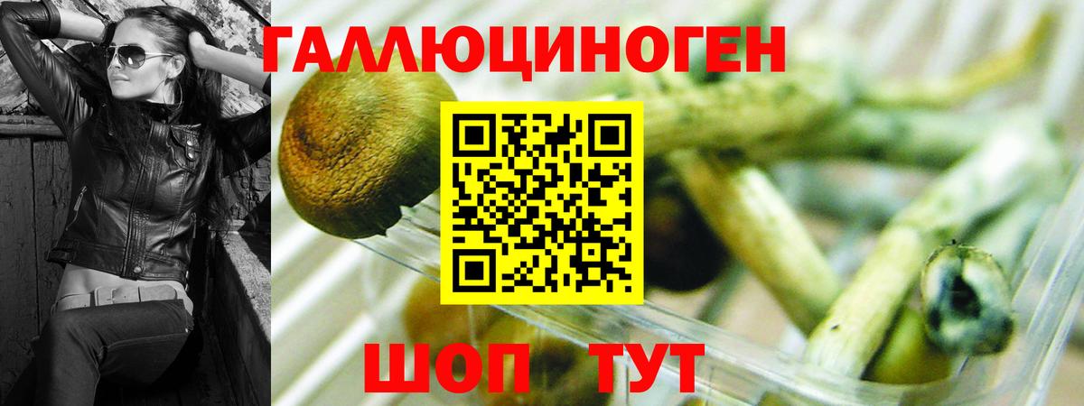 Псилоцибиновые грибы прущие грибы  Галлюциногенные грибы Psilocybe  сколько стоит  Подольск  Вход с VPN 